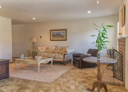 a living room with furniture and a potted plant