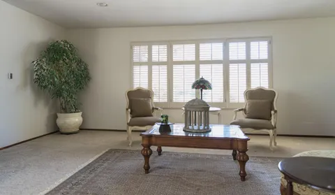 a living room with furniture and a potted plant