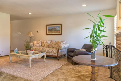 a living room with furniture and a potted plant