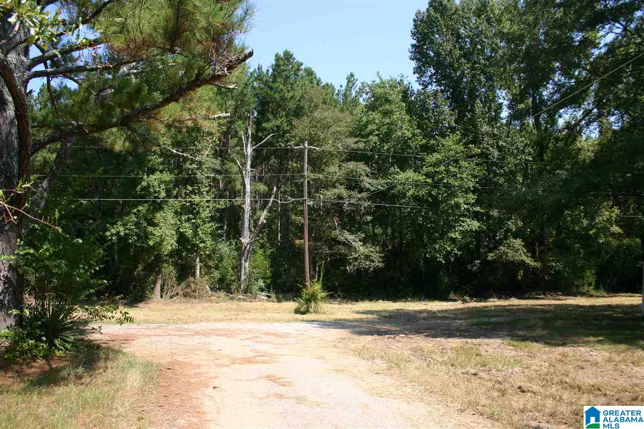 Gallman Lane Talladega, AL 35160 - Photo 14 of 19