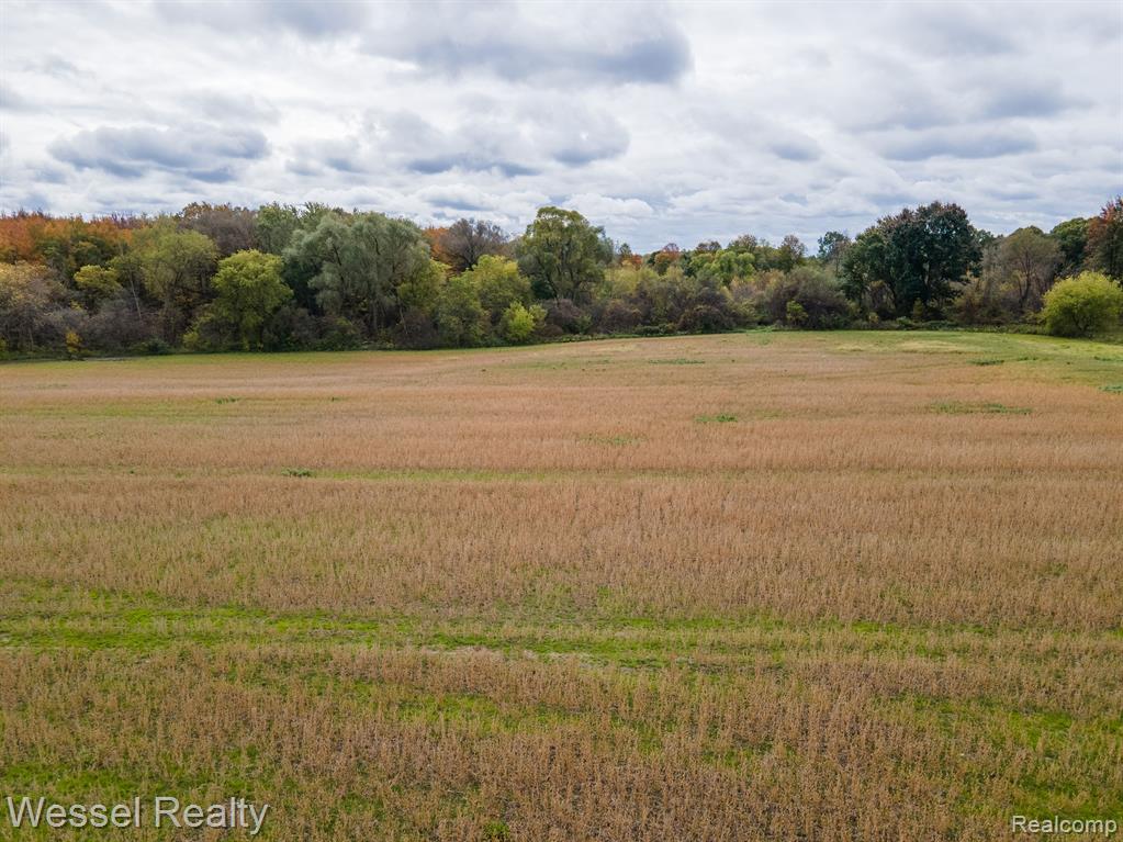6 Lambs Road Goodells, MI 48027 - Photo 3 of 3