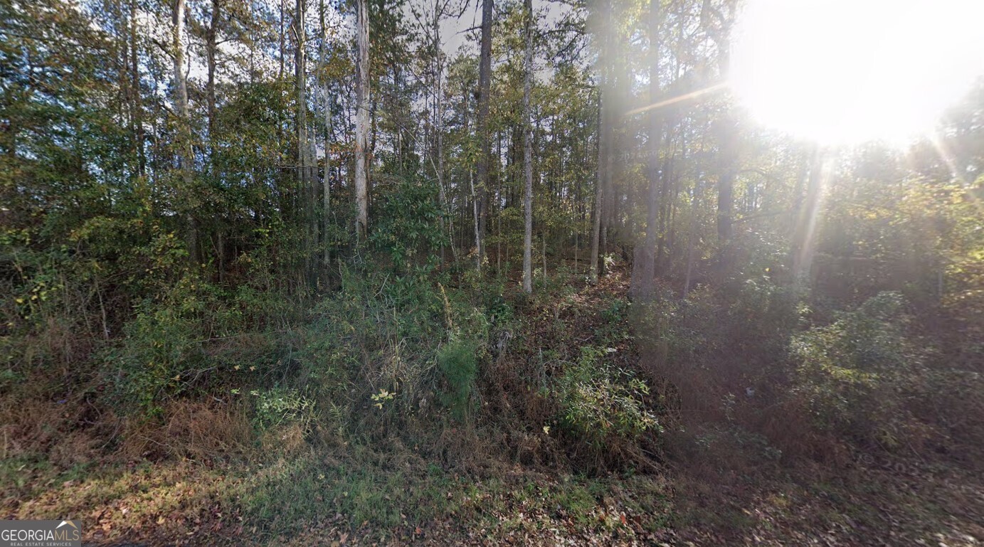 246 Pine Hill Road LaGrange, GA 30241 - Photo 2 of 6