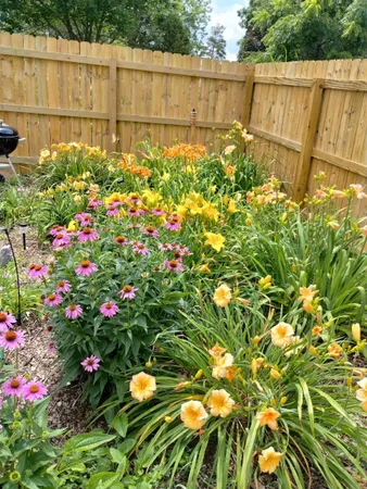 $85,000 | 615 Park Street, Warren, IL 61087