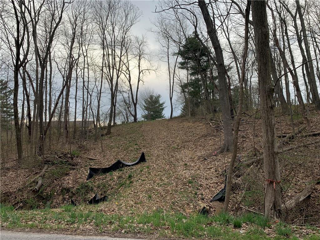0 Lutz Road Oakdale, PA 15071 - Photo 7 of 13 Gallery Image 7