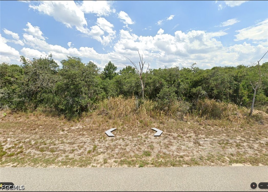 2877 West Rutland Road Avon Park, FL 33825 - Photo 4 of 4 Gallery Image 4