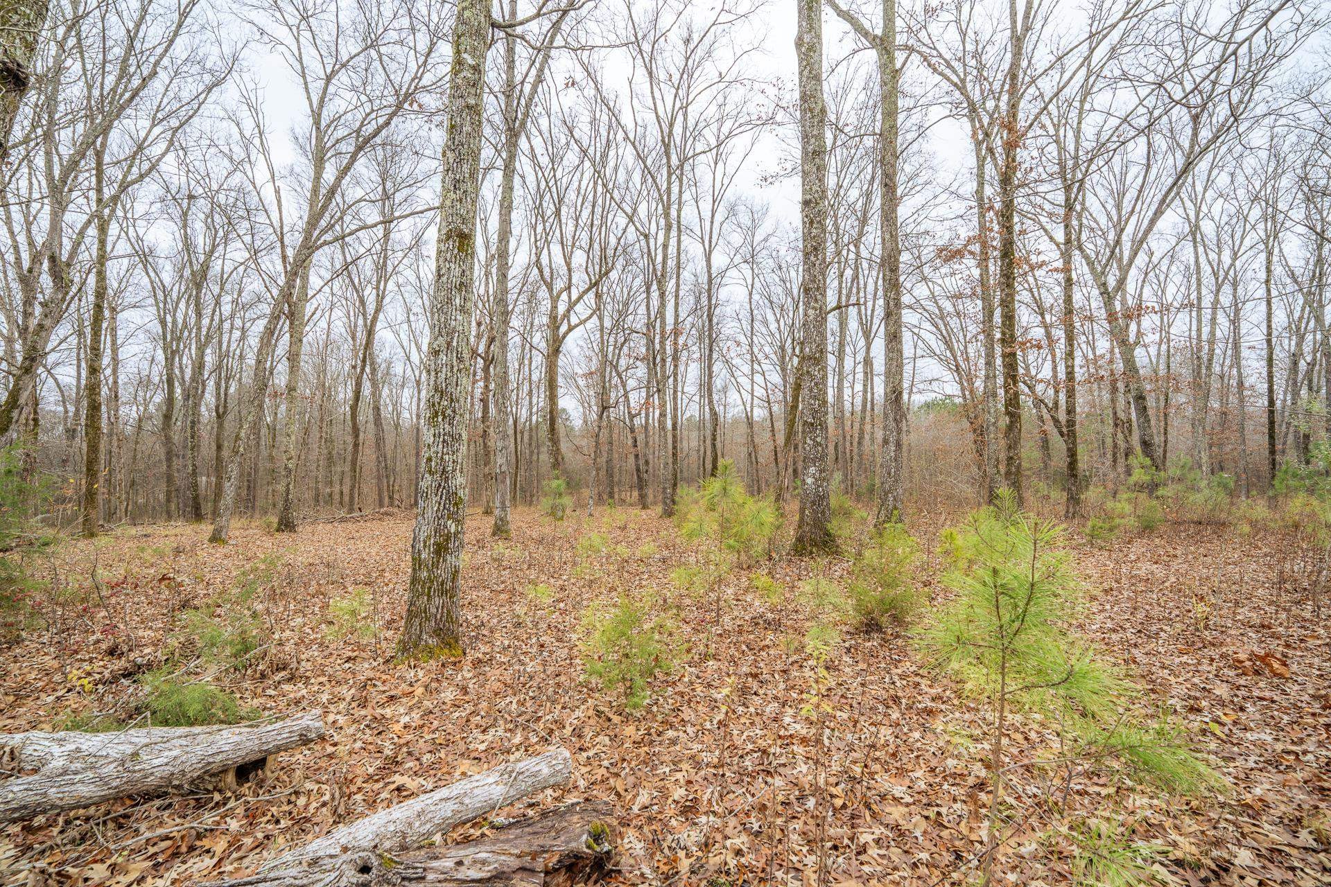 225 Sticine Road Guys, TN 38339 - Photo 40 of 40 Gallery Image 40
