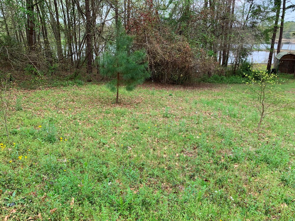 21579 Stevenson Road Frankston, TX 75763 - Photo 7 of 12