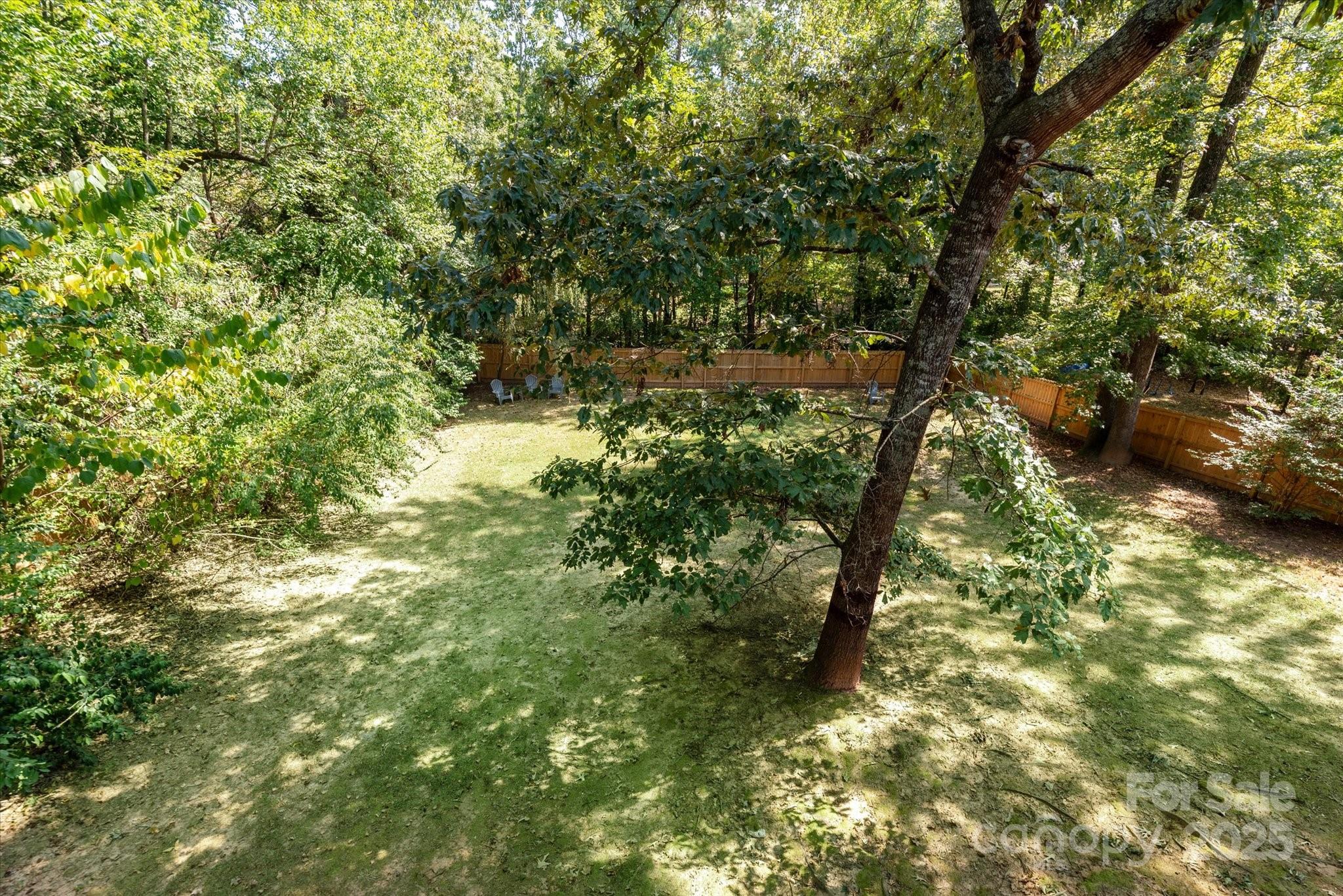 209 Whitegrove Drive Fort Mill, SC 29715 - Photo 18 of 48 a view of a yard with plants and large trees