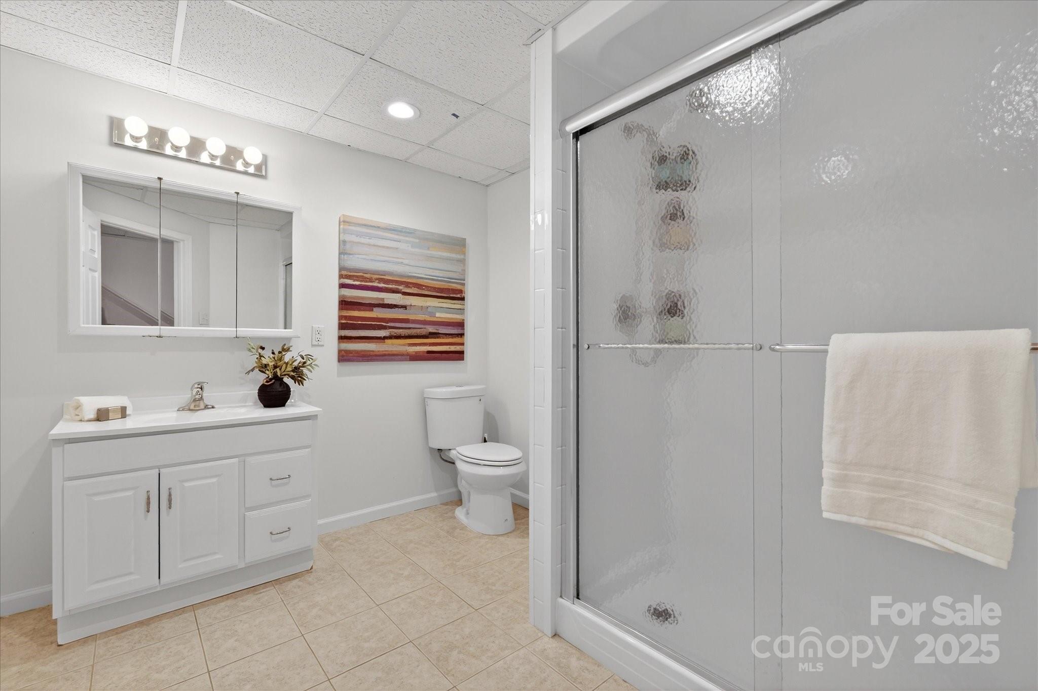 209 Whitegrove Drive Fort Mill, SC 29715 - Photo 34 of 48 a bathroom with a toilet a sink a mirror a shower a vanity and window