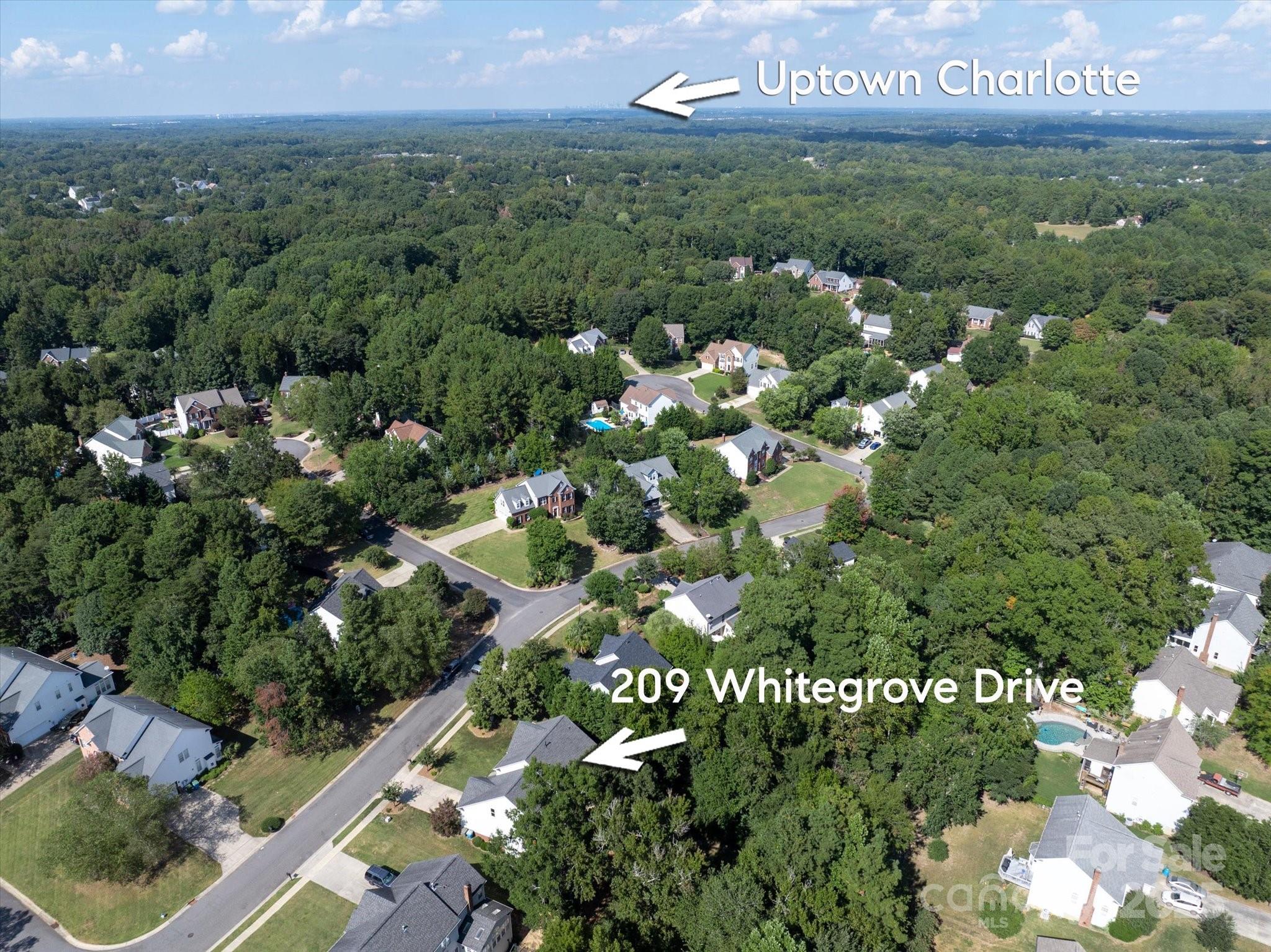 209 Whitegrove Drive Fort Mill, SC 29715 - Photo 46 of 48 a view of a bunch of flowers