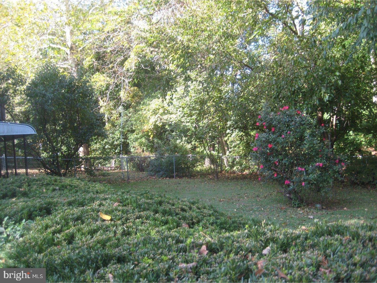 13494 Trevose Road Philadelphia, PA 19116 - Photo 4 of 25 Back Yard