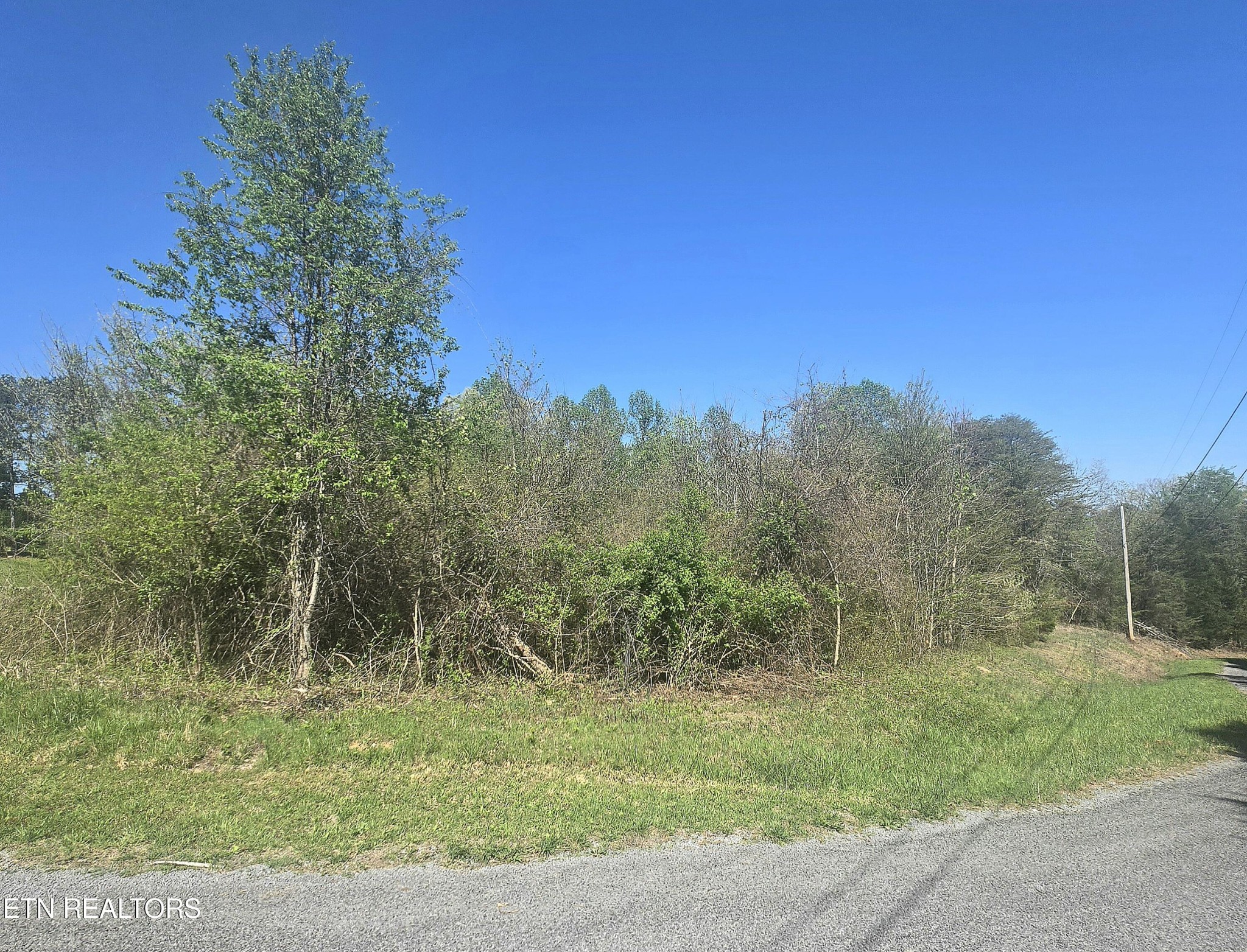 68 King Hill Rd Spring Spring City, TN 37381 - Photo 9 of 10 Gallery Image 9