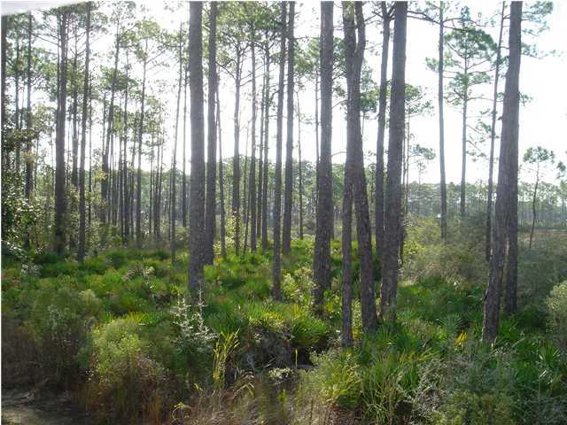 15 East Nursery Road Santa Rosa Beach, FL 32459 - Photo 2 of 3