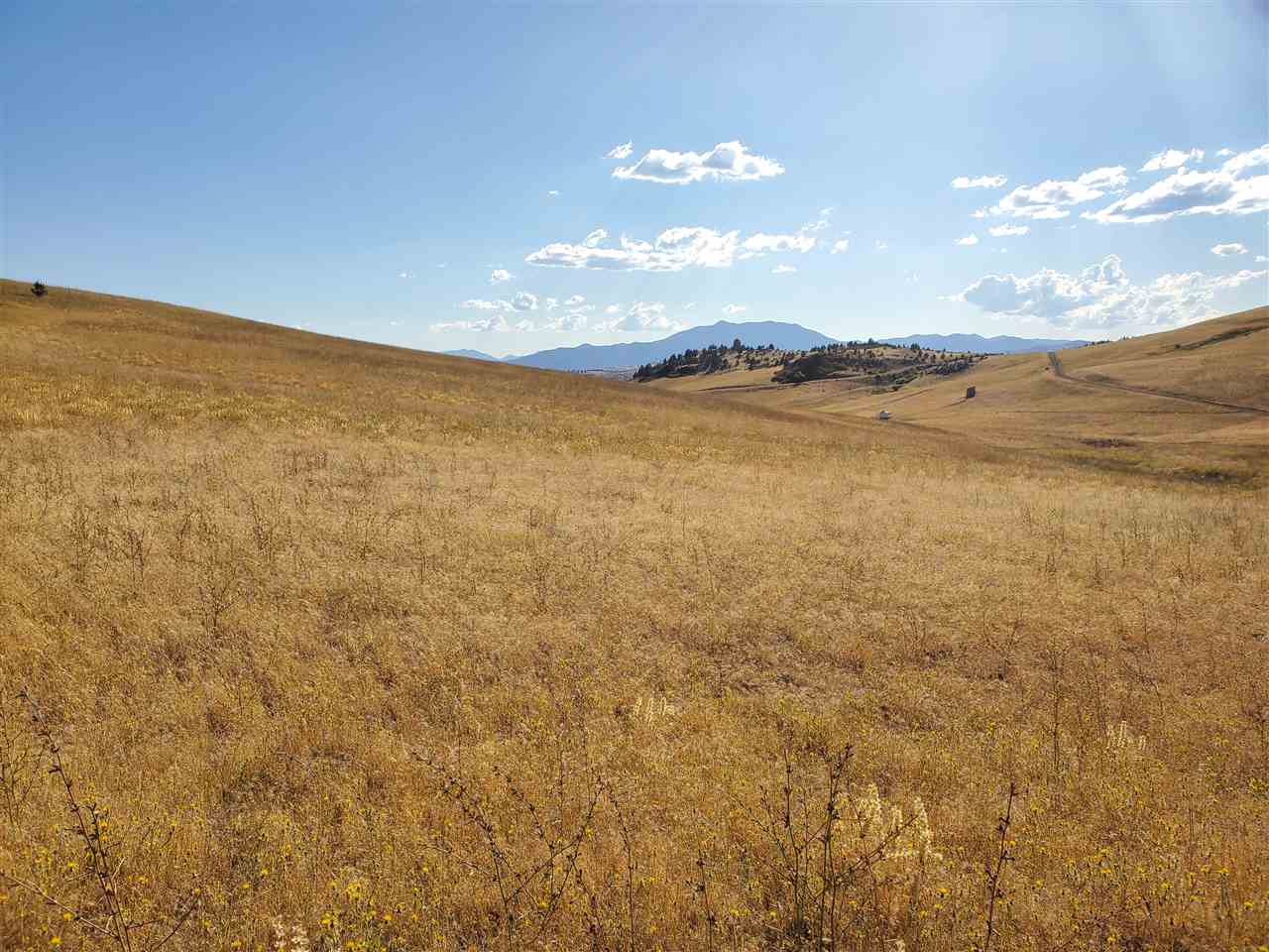 81 Iron Gate Road Hornbrook, CA 96044 - Photo 12 of 19 Gallery Image 12