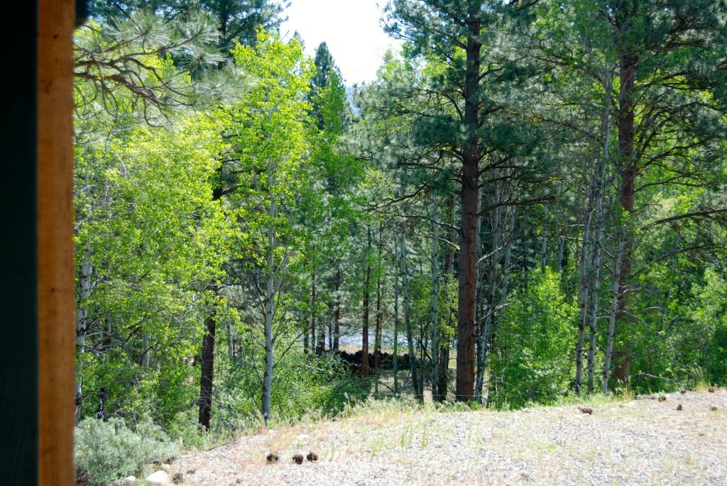 28 Northcott Road Winthrop, WA 98862 - Photo 14 of 25 Gallery Image 14