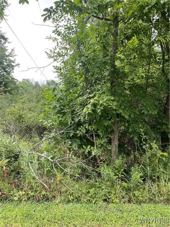 $5,000 | Monroe Avenue, Evans, NY 14006