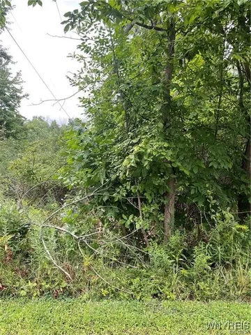 $5,000 | Monroe Avenue, Evans, NY 14006