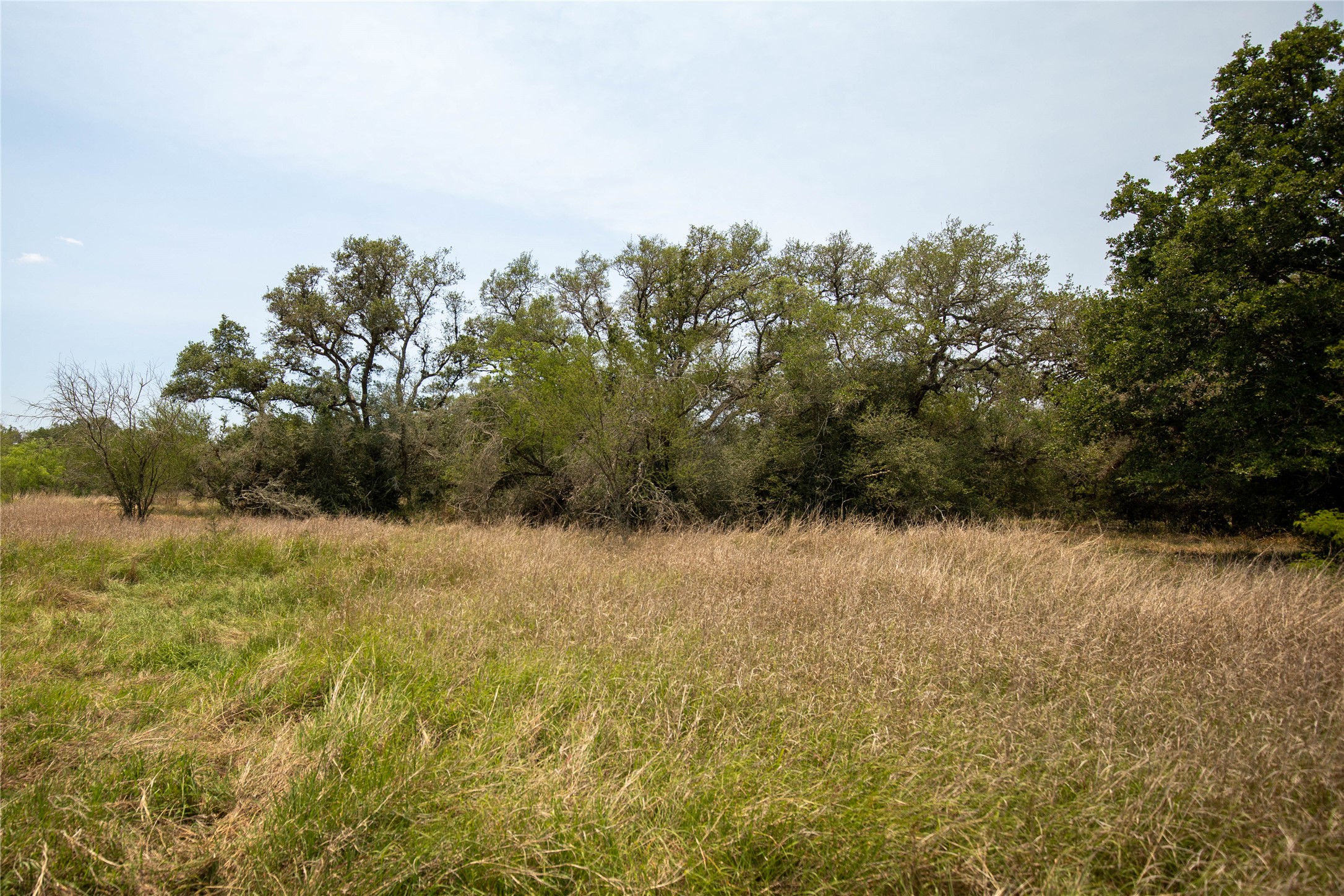 0 Green Dewitt Road Cuero, TX 77954 - Photo 19 of 40