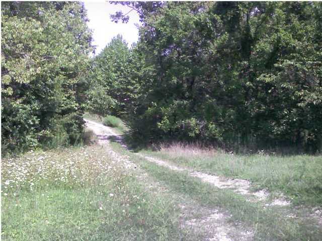 523 Windy Ridge Road Bedford, KY 40006 - Photo 1 of 15 Primary Photo