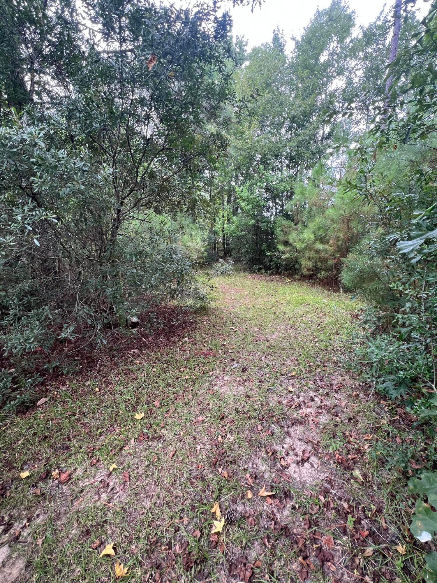 15 Pine Ridge Road Columbia, MS 39429 - Photo 41 of 48 Gallery Image 41
