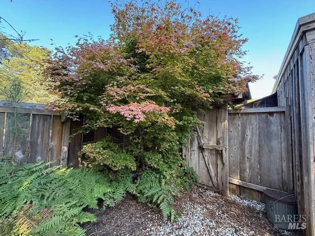 a view of a pathway with plants