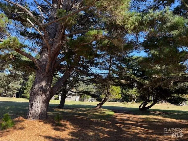 $799,000 | 9001 Highway 1, Mendocino, CA 95460