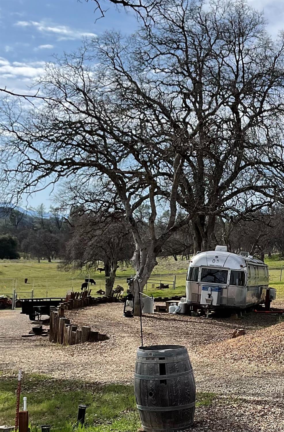 9390 Platina Road Igo, CA 96047 - Photo 11 of 49