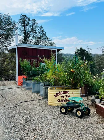 $525,000 | 9390 Platina Road, Igo, CA 96047