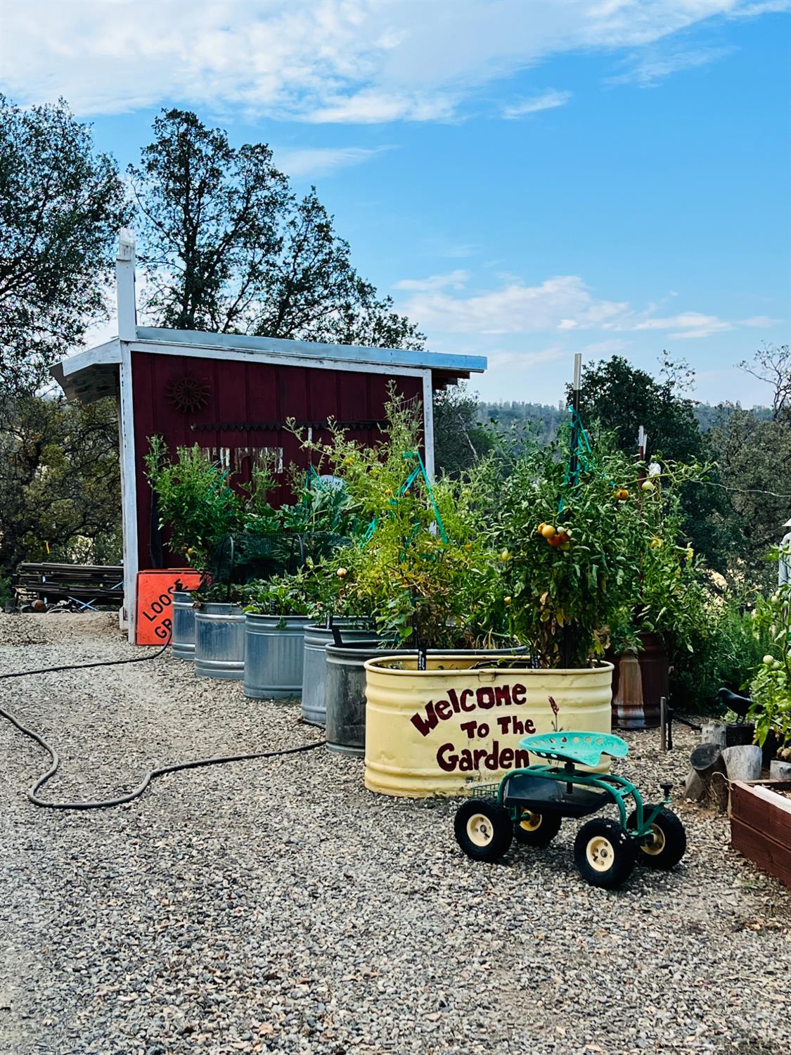 9390 Platina Road Igo, CA 96047 - Photo 49 of 49