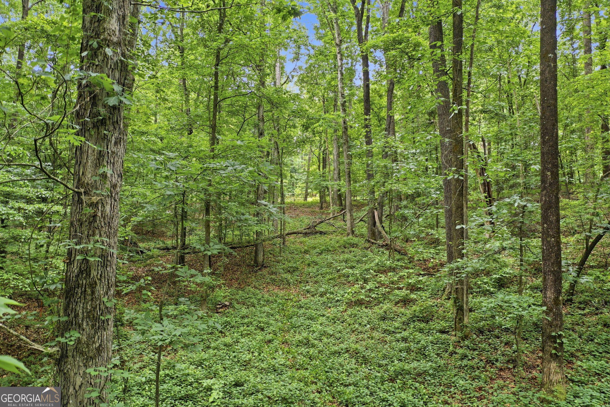 1504 Academy Church Road Jefferson, GA 30549 - Photo 13 of 21