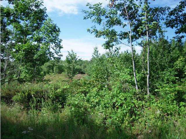 Lot 9 H Center Road Lebanon, ME 04027 - Photo 4 of 6 Land/Lot.