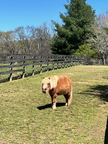 $1,949,900 | 1006 Laguna Drive, Franklin, TN 37067