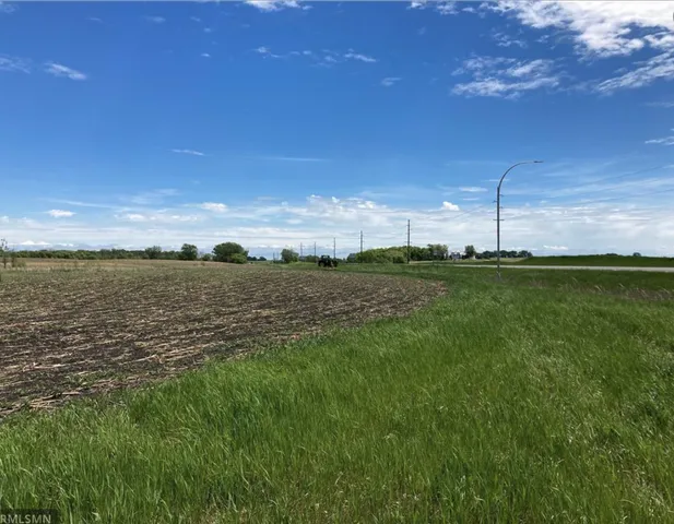 $300,000 | Lot 1 Hwy 15 Brownton Mn 55312, Brownton, MN 55312