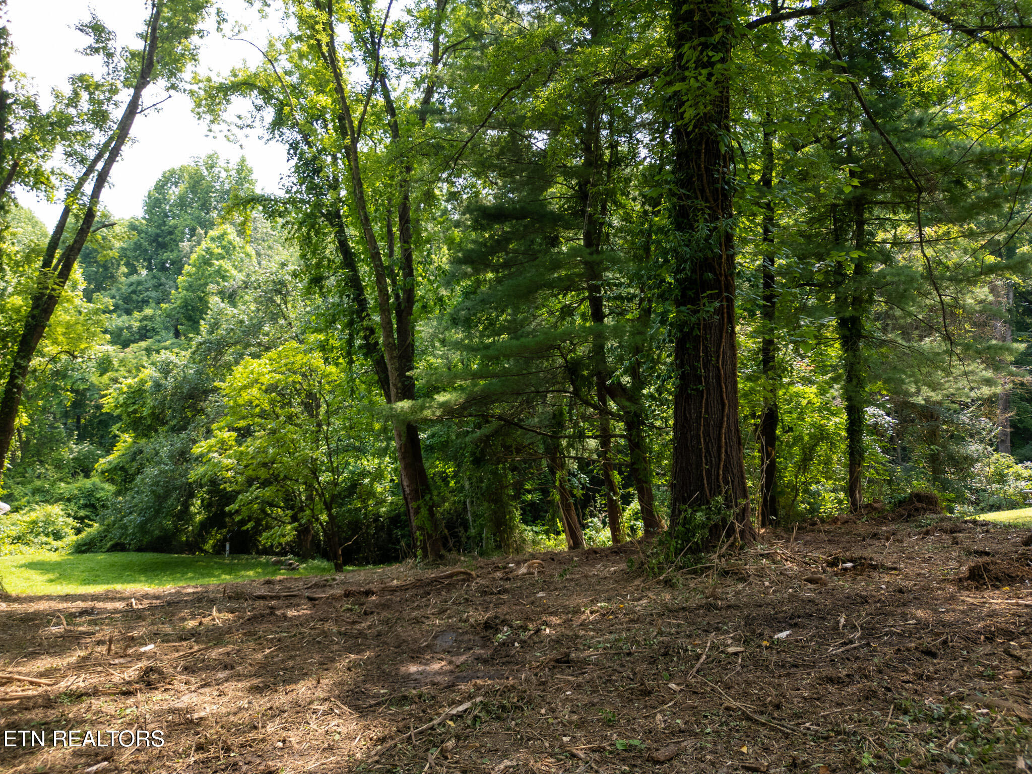 107 Jay Lane Oak Ridge, TN 37830 - Photo 1 of 7 107 Jay Ln-04