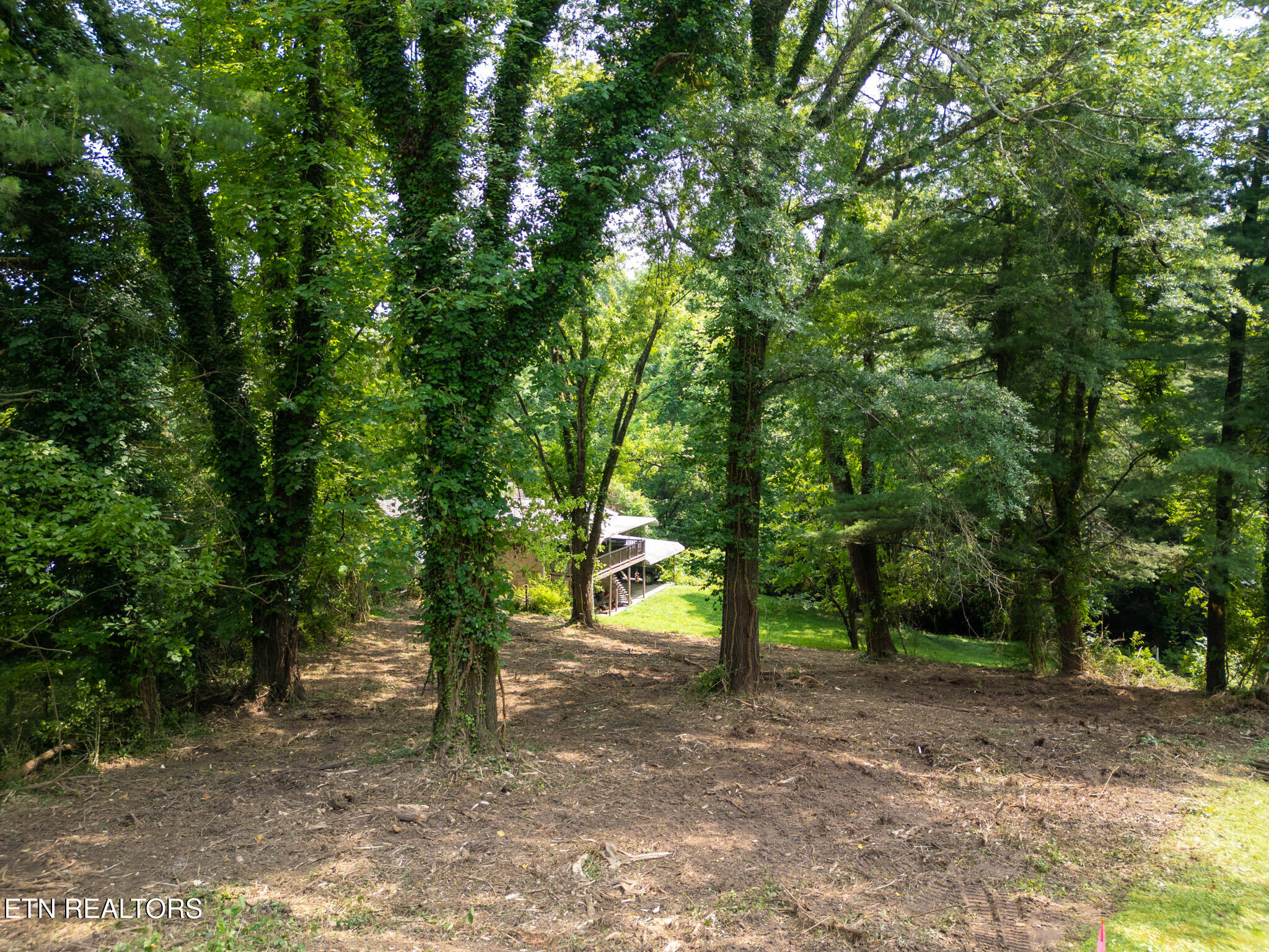 107 Jay Lane Oak Ridge, TN 37830 - Photo 2 of 7 107 Jay Ln-01 (1)