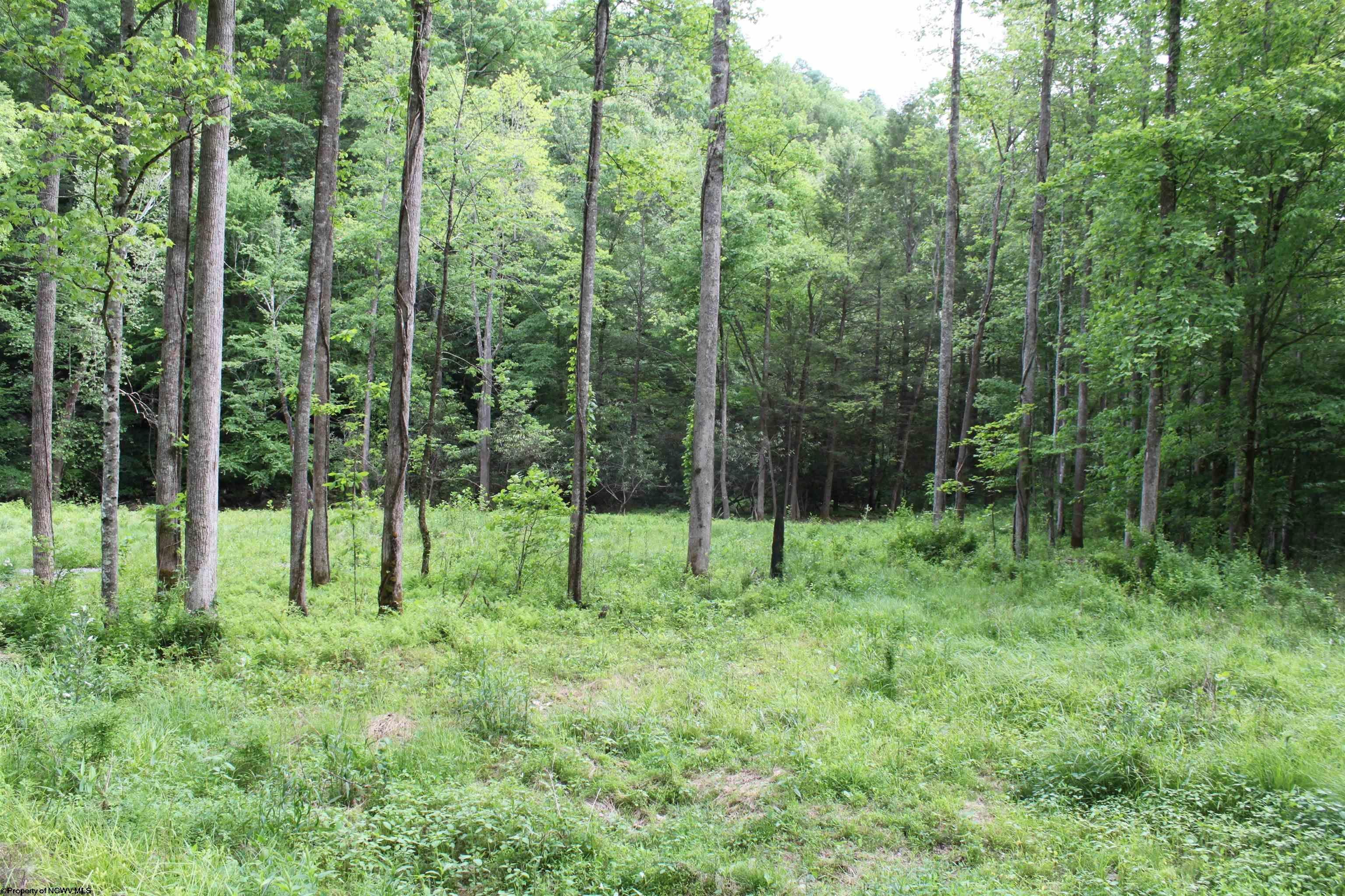 390 Big Sycamore Road Webster Springs, WV 26288 - Photo 13 of 17 Gallery Image 13