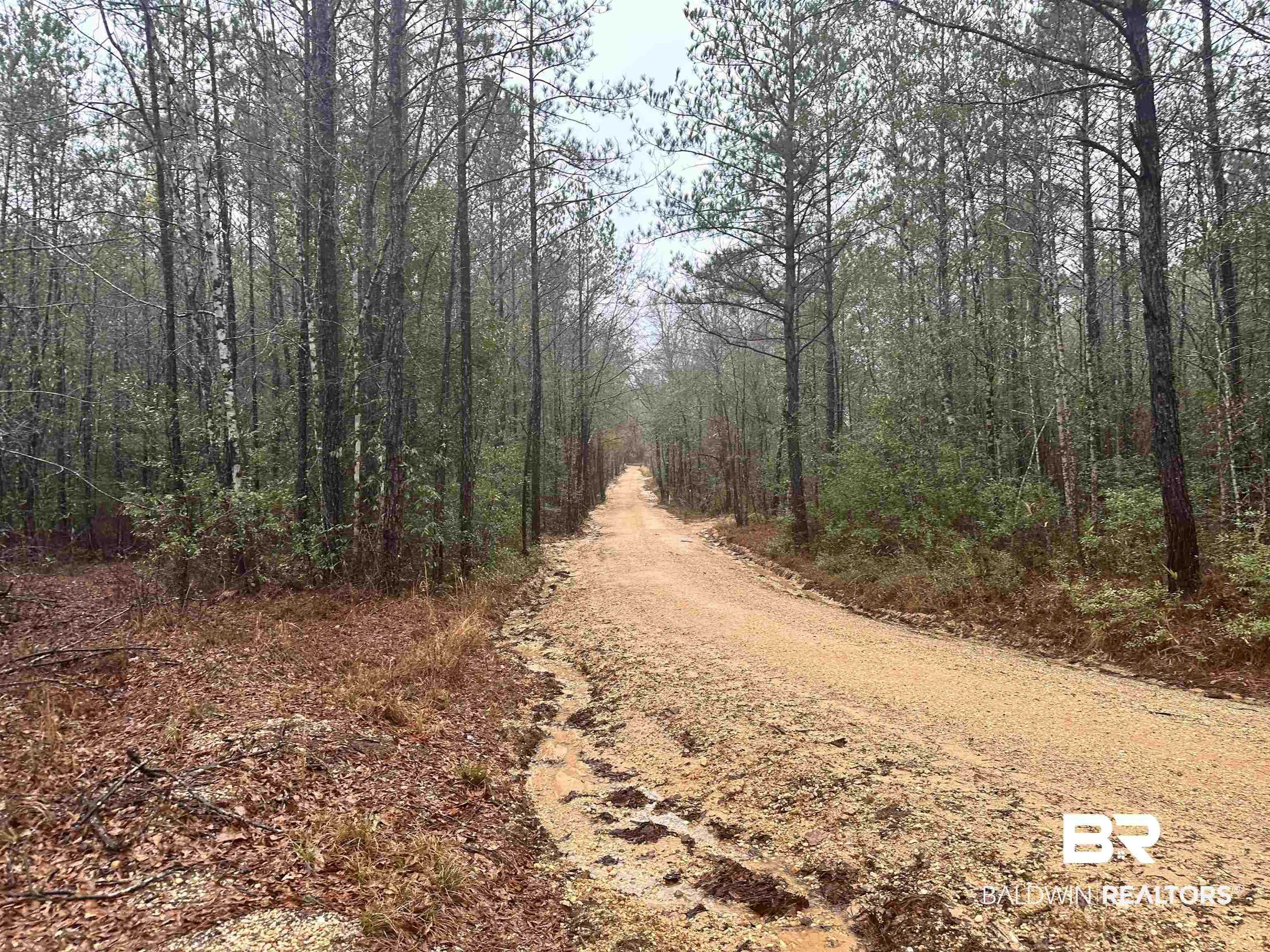 4549 J D Howard Road Tibbie, AL 36583 - Photo 31 of 33