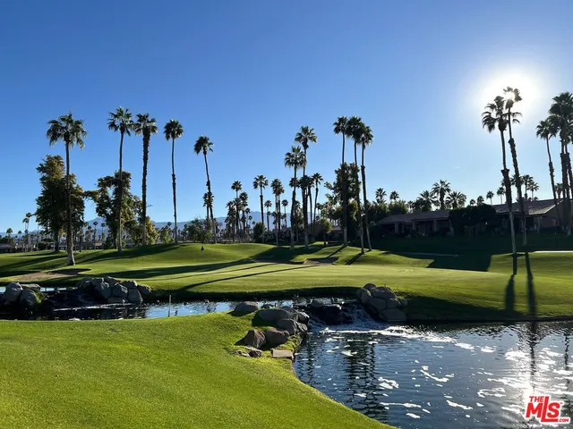 a view of a park with large trees