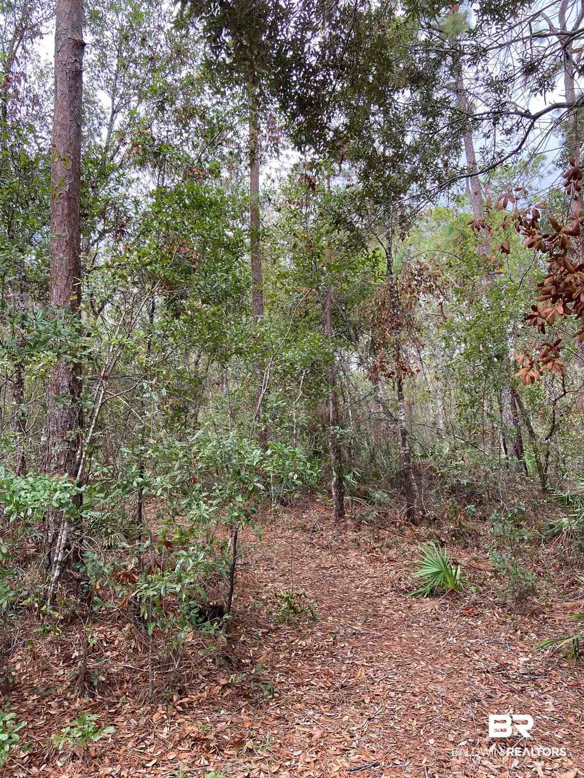 0 Pine Street Elberta, AL 36530 - Photo 12 of 14