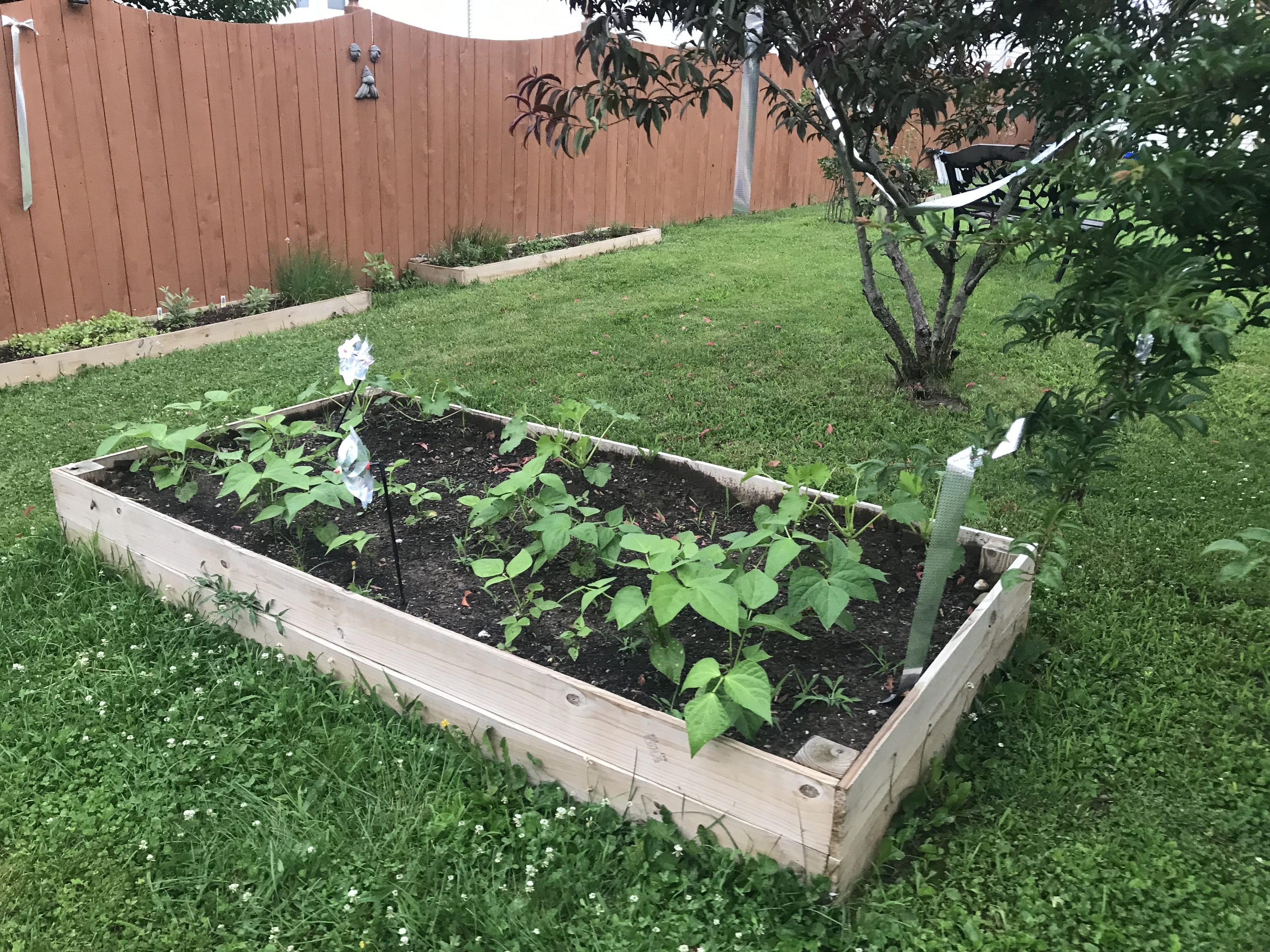 3655 Pickwick Circle Plainfield, IN 46168 - Photo 56 of 69