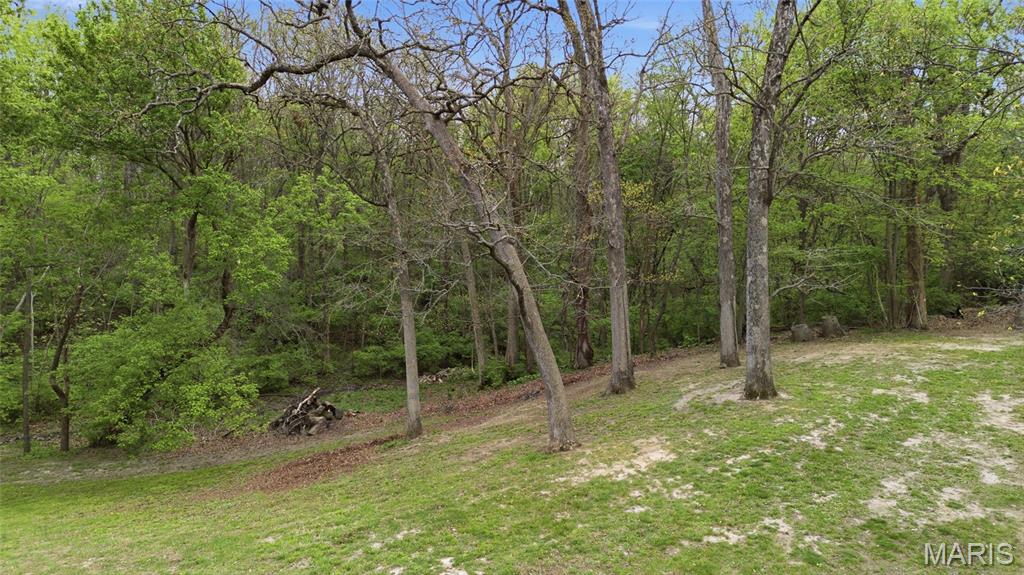 2179 Brown Road Brighton, IL 62012 - Photo 66 of 83