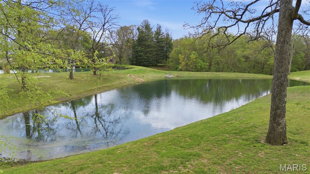 2179 Brown Road Brighton, IL 62012 - Photo 76 of 83