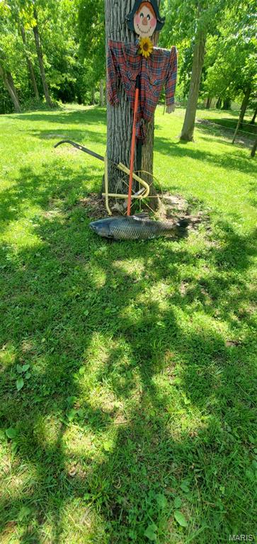 2179 Brown Road Brighton, IL 62012 - Photo 77 of 83