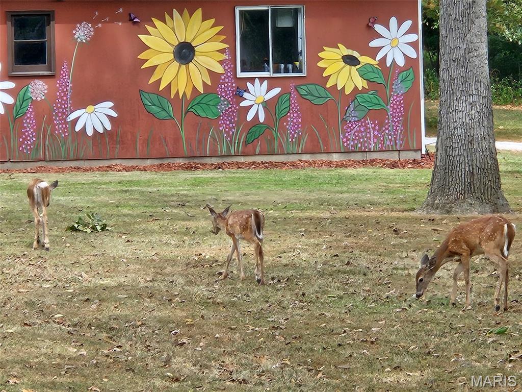 2179 Brown Road Brighton, IL 62012 - Photo 81 of 83