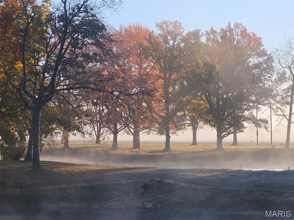 2179 Brown Road Brighton, IL 62012 - Photo 82 of 83