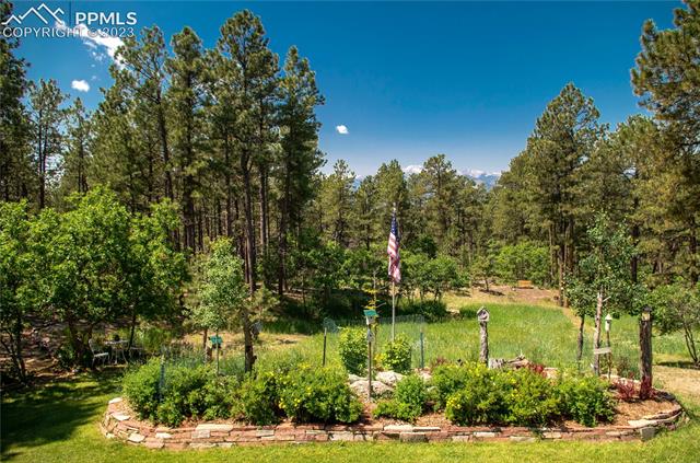 15015 Raton Road Colorado Springs, CO 80921 - Photo 45 of 45 Gallery Image 45