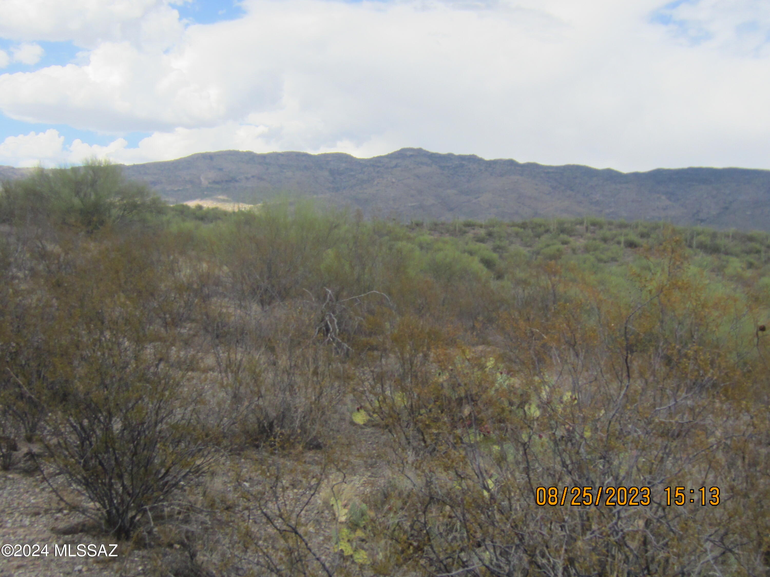 0 East Rincon Creek Ranch Road Tucson, AZ 85747 - Photo 4 of 46 Gallery Image 4