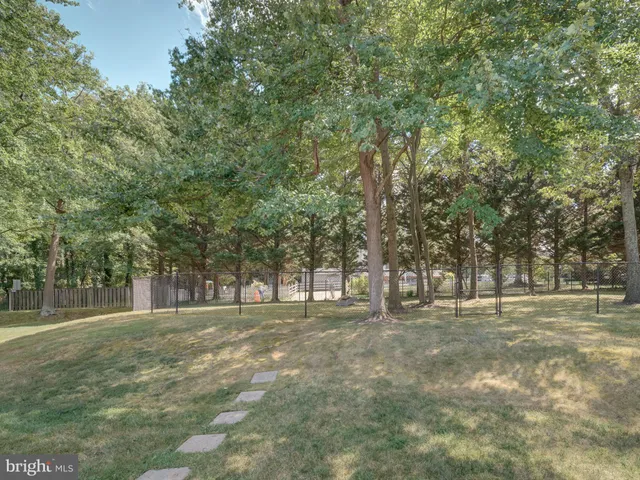 a big yard with trees and a trees
