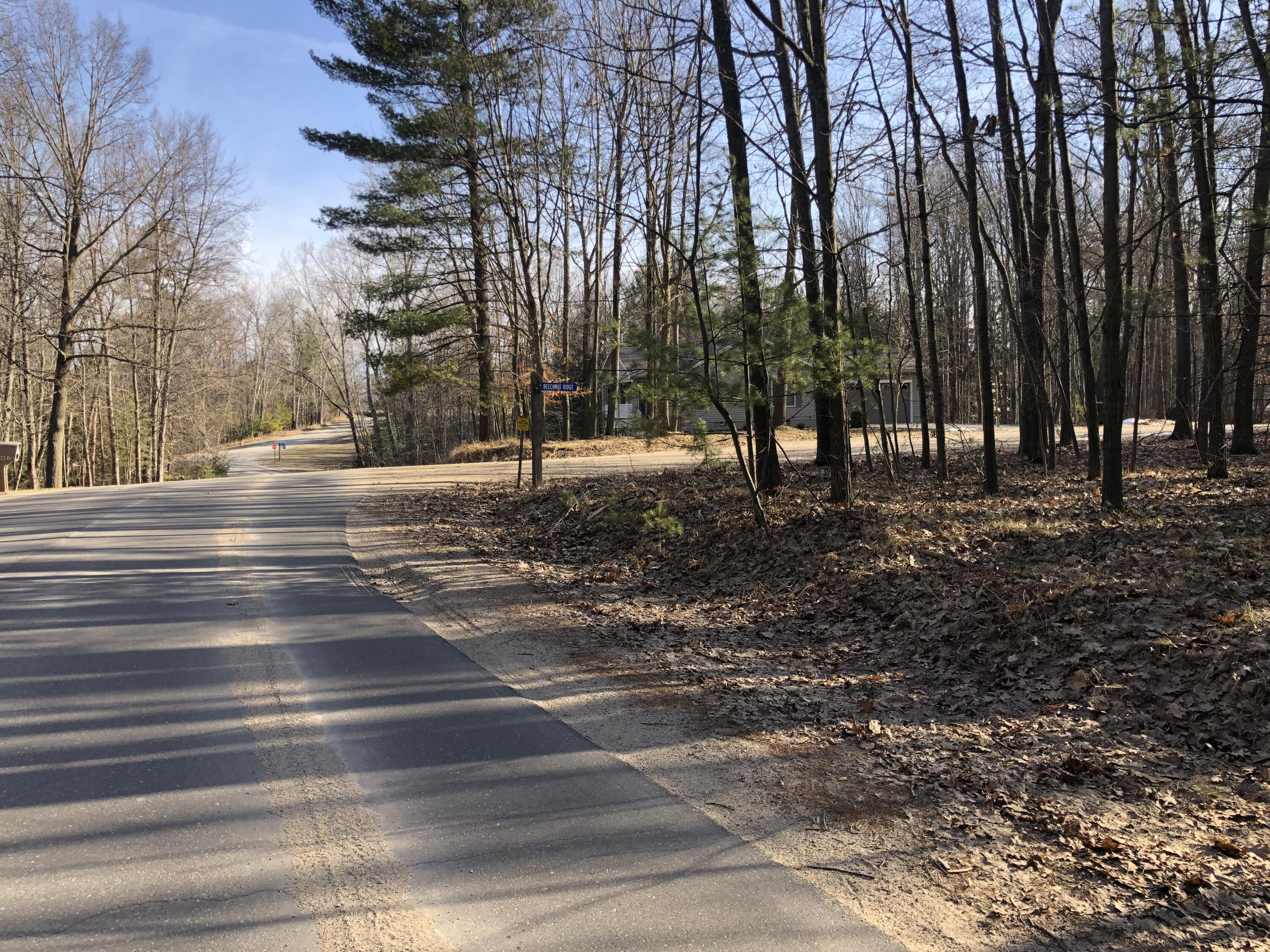 6833 Beechnut Ridge, Unit 252 Canadian Lakes, MI 49346 - Photo 1 of 18 1 Main Property View