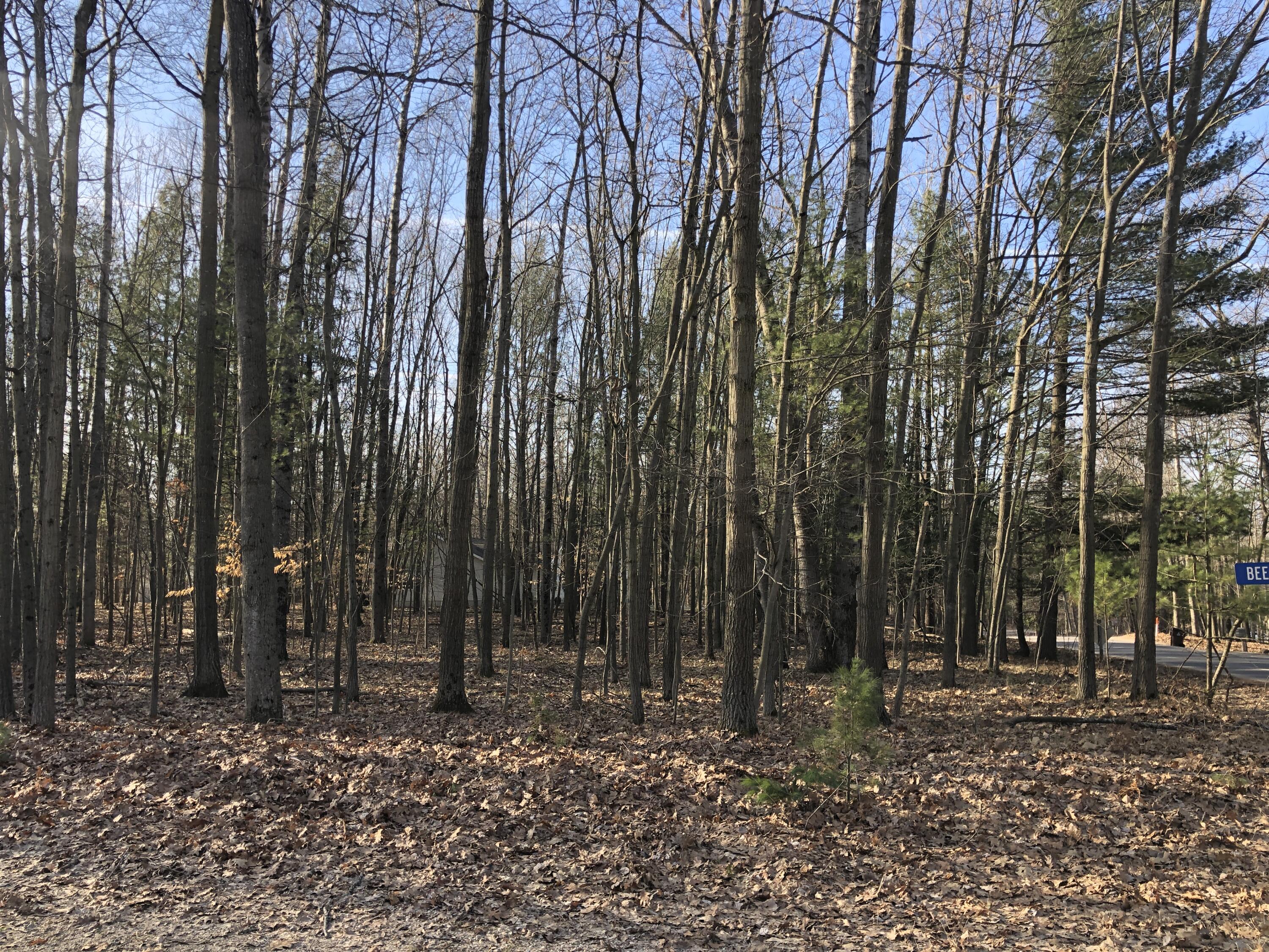 6833 Beechnut Ridge, Unit 252 Canadian Lakes, MI 49346 - Photo 13 of 18 13 Lot View